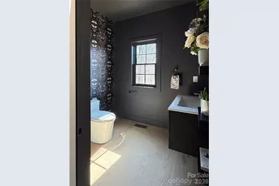 10 Nellie Bell Lane, Swannanoa, NC 28778 - Photo 21