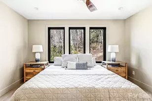 10 Nellie Bell Ln, Swannanoa, NC 28778 - Photo 19