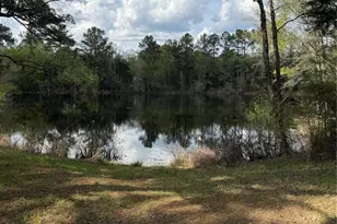 Tbd Springwood Lakes Rd, Chester, SC 29706 - Photo 1