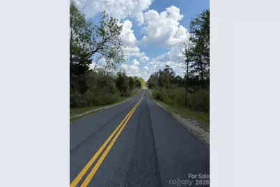 Tbd Springwood Lakes Road, Chester, SC 29706 - Photo 3