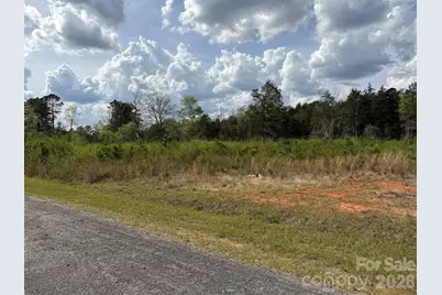 Tbd Springwood Lakes Road, Chester, SC 29706 - Photo 5