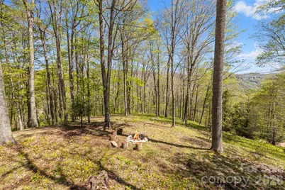 868 English Ridge Drive, Mars Hill, NC 28754 - Photo 3