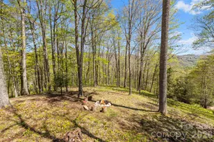 868 English Ridge Dr, Mars Hill, NC 28754 - Photo 3