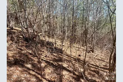 00 Nc Highway 226 Highway, Bostic, NC 28018 - Photo 7