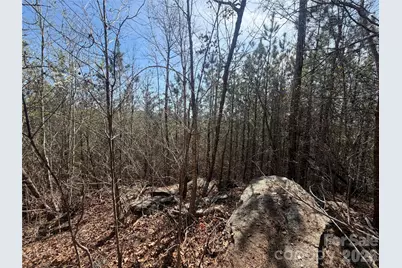 00 Nc Highway 226 Highway, Bostic, NC 28018 - Photo 9