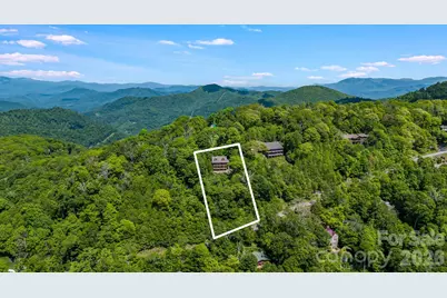 721 McKinney Gap Drive, Mars Hill, NC 28754 - Photo 3
