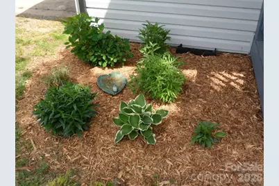 244 Holly Street, Hudson, NC 28638 - Photo 35