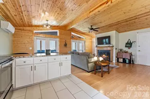 81 Bullfrog Cove Rd, Sylva, NC 28779 - Photo 9