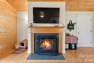 81 Bullfrog Cove Rd, Sylva, NC 28779 - Photo 5