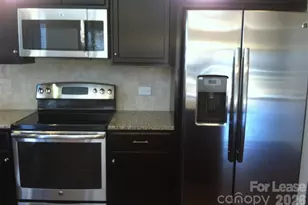 12713 Wither Steele Ct, Charlotte, NC 28273 - Photo 13