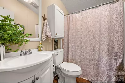 243 Buffalo Creek Road, Lake Lure, NC 28746 - Photo 21