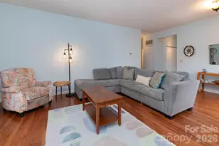 305 Piney Mountain Dr, Asheville, NC 28805 - Photo 7