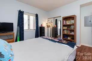 305 Piney Mountain Dr, Asheville, NC 28805 - Photo 17