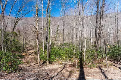 99 Banjo Branch Road, Burnsville, NC 28714 - Photo 25