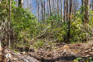 99 Banjo Branch Rd, Burnsville, NC 28714 - Photo 17