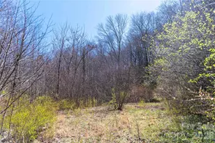 99 Banjo Branch Rd, Burnsville, NC 28714 - Photo 7