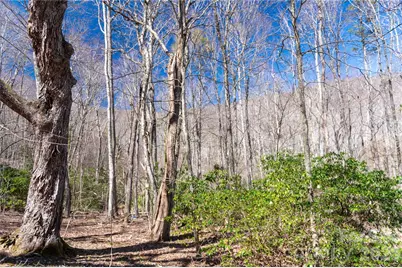 99 Banjo Branch Road, Burnsville, NC 28714 - Photo 23