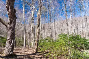 99 Banjo Branch Rd, Burnsville, NC 28714 - Photo 23