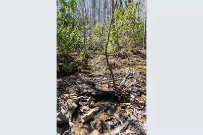 99 Banjo Branch Road, Burnsville, NC 28714 - Photo 29