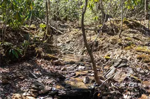 99 Banjo Branch Rd, Burnsville, NC 28714 - Photo 29