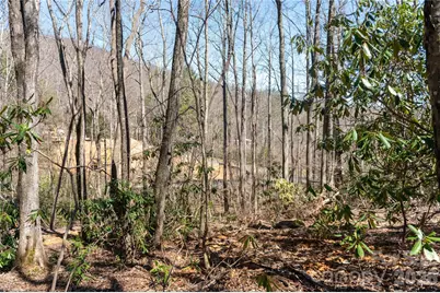 99 Banjo Branch Road, Burnsville, NC 28714 - Photo 21