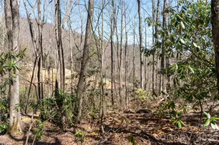 99 Banjo Branch Rd, Burnsville, NC 28714 - Photo 21