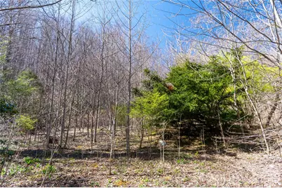 99 Banjo Branch Road, Burnsville, NC 28714 - Photo 31