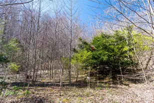 99 Banjo Branch Rd, Burnsville, NC 28714 - Photo 31