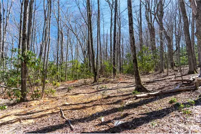 99 Banjo Branch Road, Burnsville, NC 28714 - Photo 19