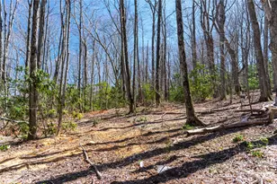 99 Banjo Branch Rd, Burnsville, NC 28714 - Photo 19