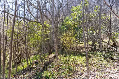 99 Banjo Branch Road, Burnsville, NC 28714 - Photo 9