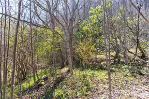 99 Banjo Branch Rd, Burnsville, NC 28714 - Photo 9