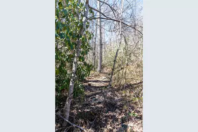 99 Banjo Branch Road, Burnsville, NC 28714 - Photo 5