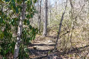 99 Banjo Branch Rd, Burnsville, NC 28714 - Photo 5