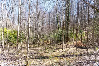 99 Banjo Branch Road, Burnsville, NC 28714 - Photo 13