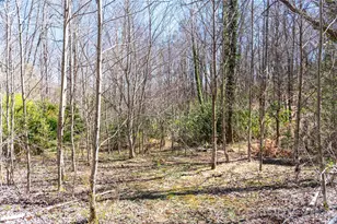 99 Banjo Branch Rd, Burnsville, NC 28714 - Photo 13