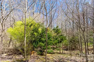 99 Banjo Branch Rd, Burnsville, NC 28714 - Photo 15