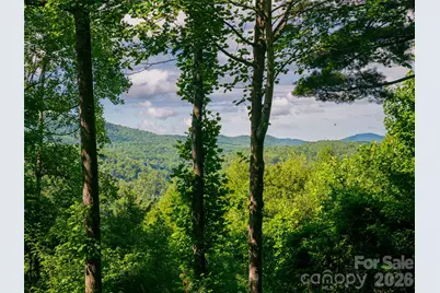 935 Whites Lake Boulevard, Saluda, NC 28773 - Photo 37