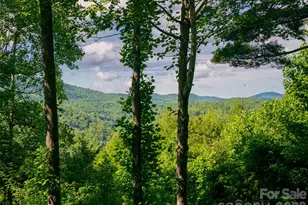 935 Whites Lake Blvd, Saluda, NC 28773 - Photo 37