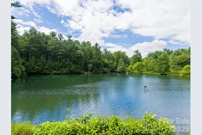 935 Whites Lake Boulevard, Saluda, NC 28773 - Photo 47