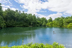935 Whites Lake Blvd, Saluda, NC 28773 - Photo 47