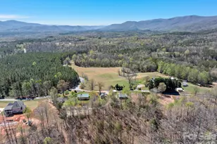 1434 Lake Adger Rd, Mill Spring, NC 28756 - Photo 47