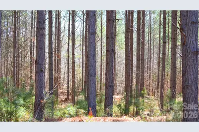 00 Bobby Faucette Road #5, Jonesville, SC 29353 - Photo 9