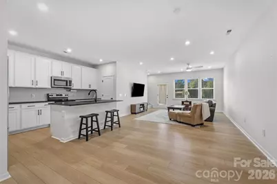 217 Brooks Springs Drive, Fort Mill, SC 29708 - Photo 7