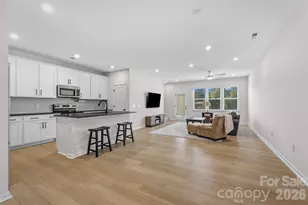 217 Brks Spgs Dr, Fort Mill, SC 29708 - Photo 7