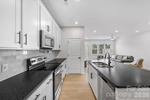 217 Brks Spgs Dr, Fort Mill, SC 29708 - Photo 11