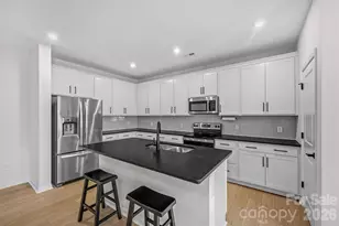 217 Brks Spgs Dr, Fort Mill, SC 29708 - Photo 9