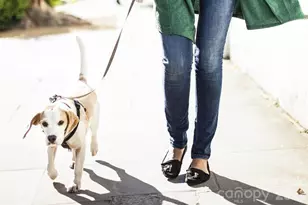 9540 Teamwork St NW, Concord, NC 28027 - Photo 19