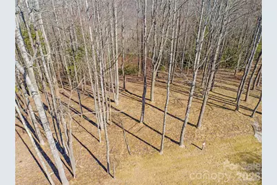 0 East Garden Trail #16, Hendersonville, NC 28792 - Photo 7