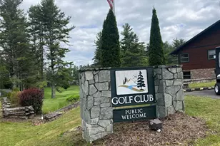 20 Lady Slipper Loop, Newland, NC 28657 - Photo 43